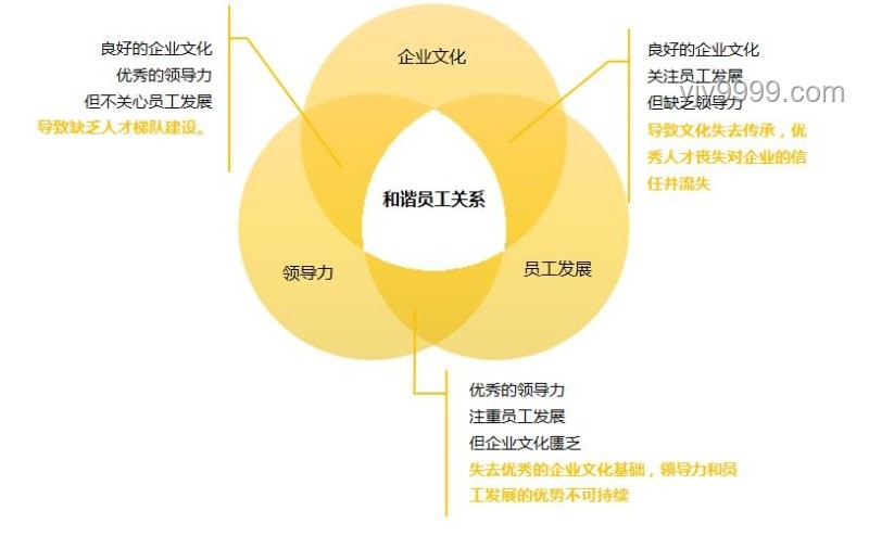 「领导能力与职位关系新趋势：能力至上还是环境塑造？」